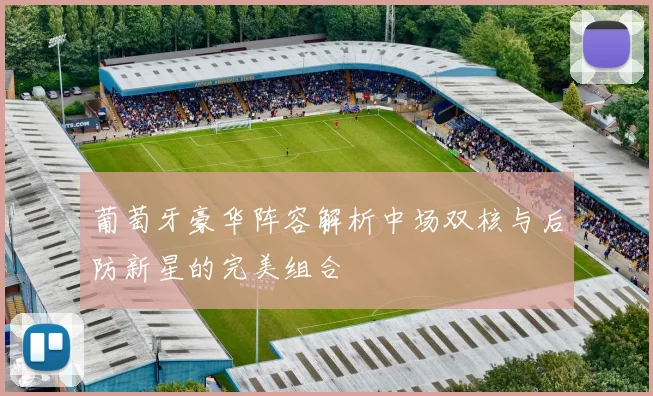 葡萄牙豪华阵容解析中场双核与后防新星的完美组合