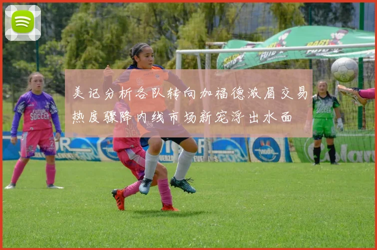 美记分析各队转向加福德浓眉交易热度骤降内线市场新宠浮出水面