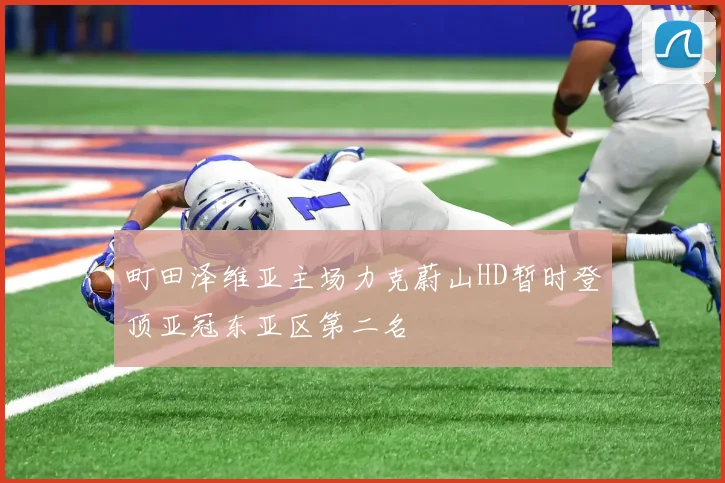 町田泽维亚主场力克蔚山HD暂时登顶亚冠东亚区第二名