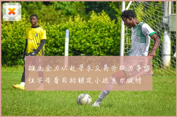 雄鹿全力以赴寻求交易升级力争留住字母哥目标锁定小迈克尔波特