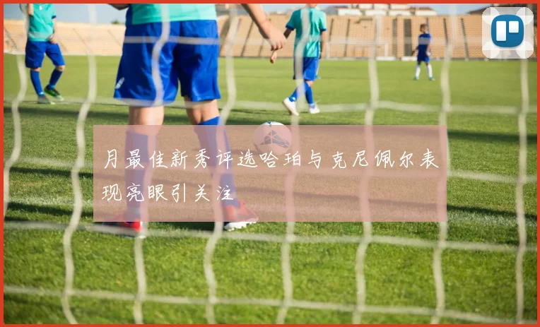 月最佳新秀评选哈珀与克尼佩尔表现亮眼引关注