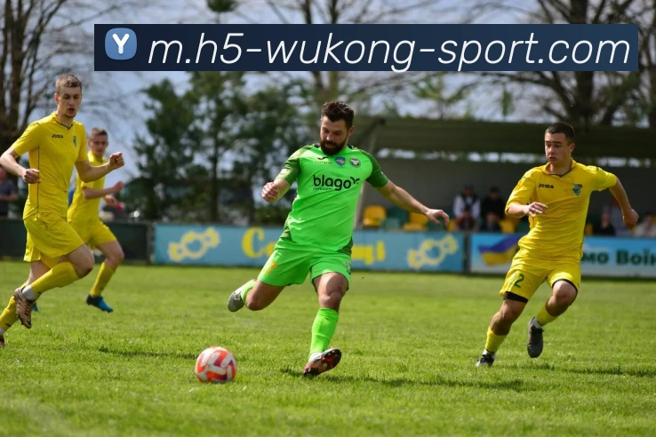 App Interface Preview