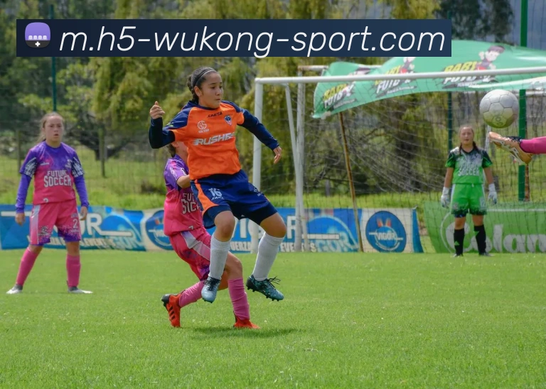 悟空体育APP 封面图